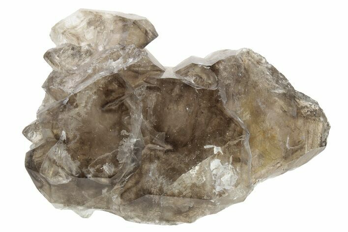 Lustrous Smoky Elestial Jacaré Quartz - Brazil #238124